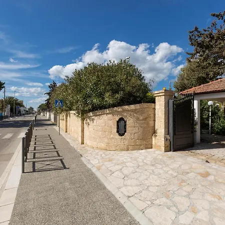 Ariel By Barbarhouse *